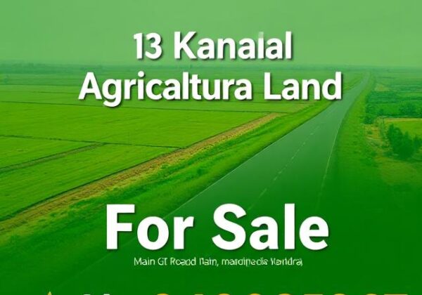 Agricultural Land for Sale in Mandra Rawalpindi